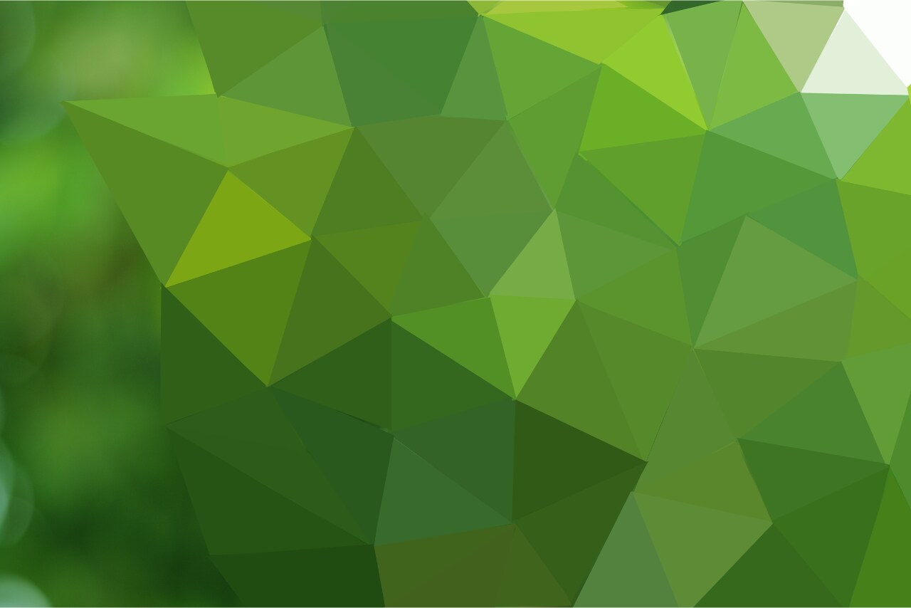 Green polygonal background featuring interconnected triangles and shapes.